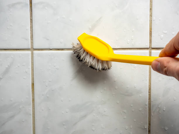 Best Bathroom Mold Remediation in Emeryville, CA